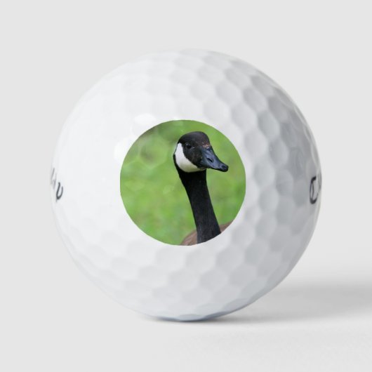 Wat? Golfballen (Voorkant)