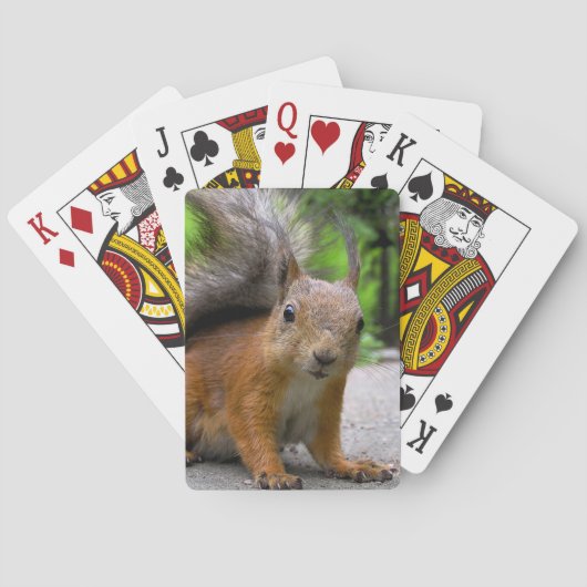 Wat heb je? pokerkaarten (Achterkant)