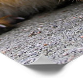 Wat heb je? poster (Hoek)