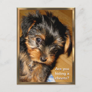 Wat heb je verborgen?  Briefkaart