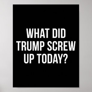 Wat heeft Trump vandaag verknoeid - Poster