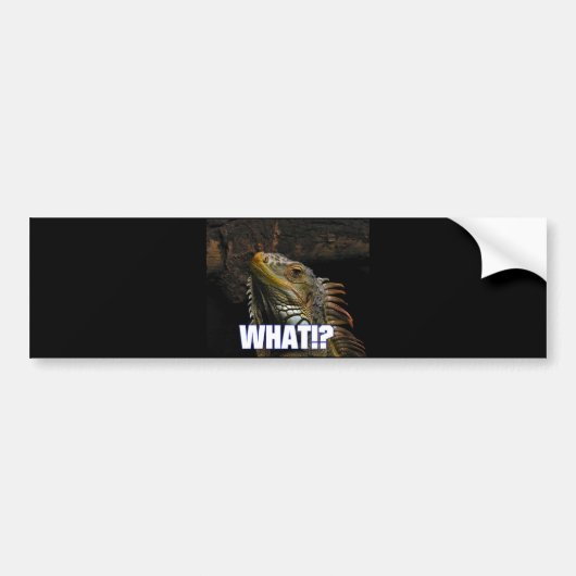 Wat? Iguana Bumpersticker (Voorkant)
