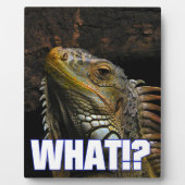 Wat? Iguana Fotoplaat (Voorkant)