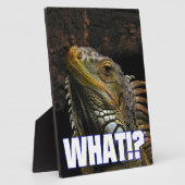 Wat? Iguana Fotoplaat (Zijkant)