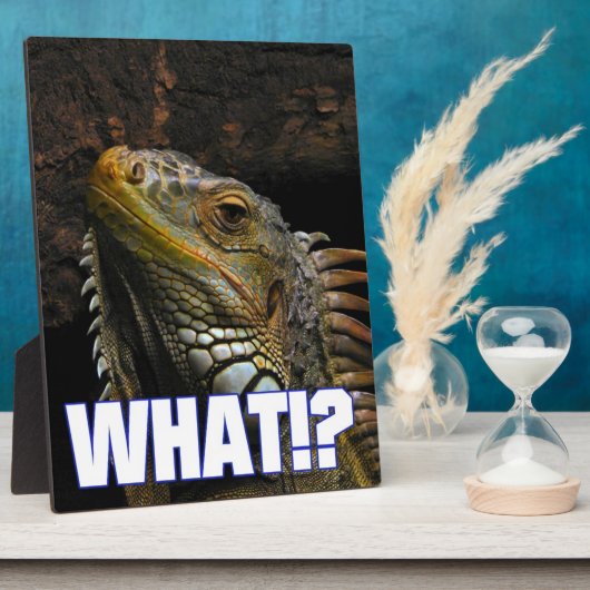 Wat? Iguana Fotoplaat (Zijkant)