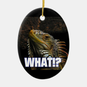 Wat? Iguana Keramisch Ornament