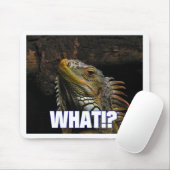 Wat? Iguana Muismat (Met muis)