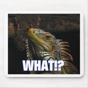 Wat? Iguana Muismat
