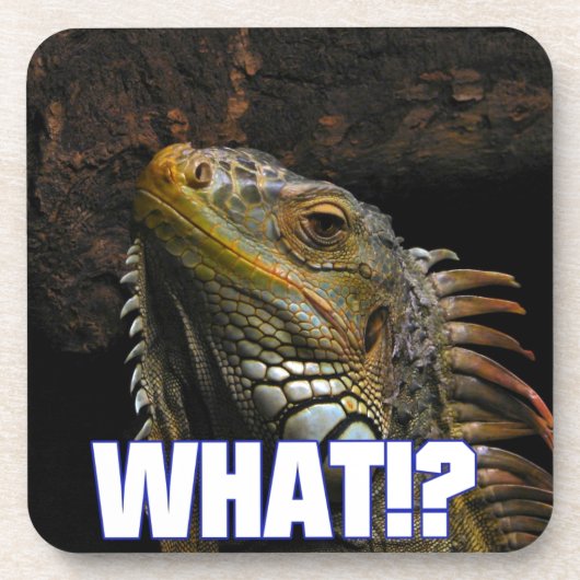 Wat? Iguana Onderzetter (Voorkant)