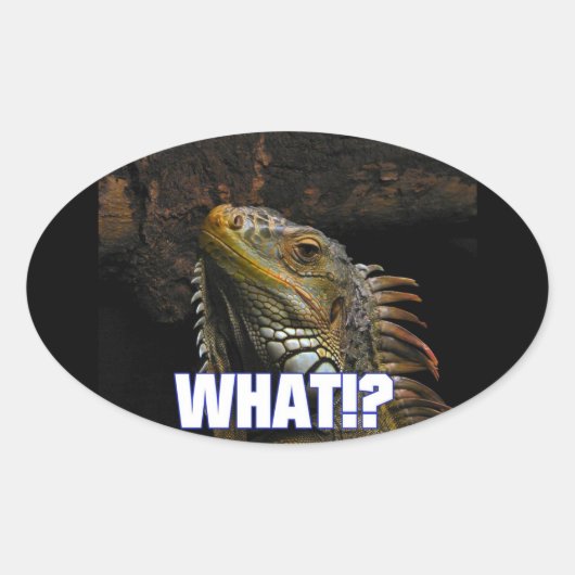Wat? Iguana Ovale Sticker (Voorkant)