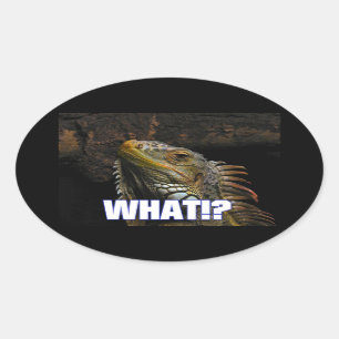 Wat? Iguana Ovale Sticker