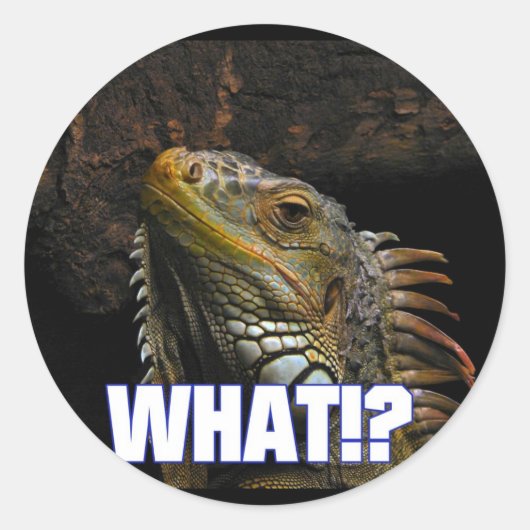 Wat? Iguana Ronde Sticker (Voorkant)