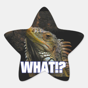 Wat? Iguana Ster Sticker