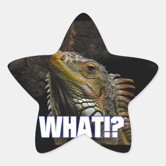 Wat? Iguana Ster Sticker (Voorkant)