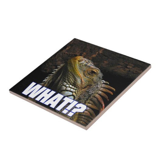 Wat? Iguana Tegeltje (Zijkant)