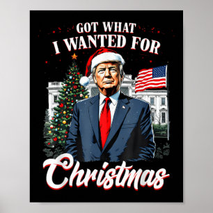 Wat ik wilde voor Kerst Trump 2024 Poster