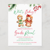 Wat is bakken Kerstmis geslacht onthullen uitnodig (Voorkant)