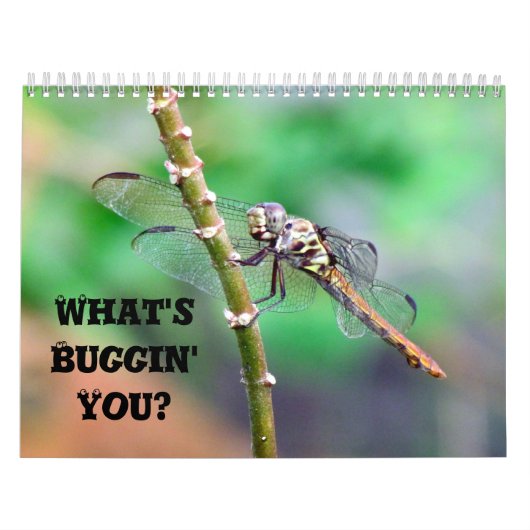 Wat is Buggin' U - Insect Calendar Edition 2 Kalender (Hoes)