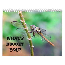 Wat is Buggin' U - Insect Calendar Edition 2 Kalender