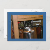 Wat is Cookin? Briefkaart (Voorkant / Achterkant)