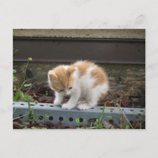 "Wat is daar beneden?" Briefkaart