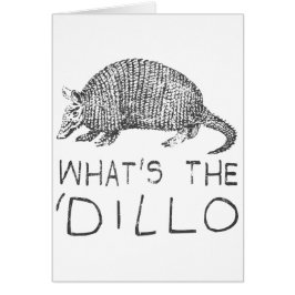 Wat is de Dillo?