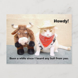 Wat is de laatste stier? briefkaart