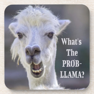 Wat is de Prob-Llama? Cute Funny LLAMA Bier Onderzetter