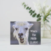 Wat is de Prob-Llama? Cute Funny LLAMA Briefkaart (Staand voorkant)