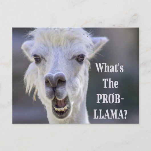 Wat is de Prob-Llama? Cute Funny LLAMA Briefkaart (Voorkant)