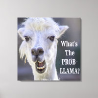 Wat is de Prob-Llama? Cute Funny LLAMA
