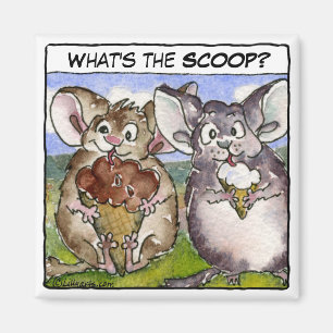 Wat is de Scoop? Cartoon Ice Cream Magnet Magneet