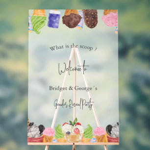 Wat is de Scoop Gender Reveal Party Frosted Acryl Bord