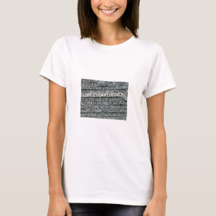 Wat is de waarheid? - Que es la Vertat? T-shirt