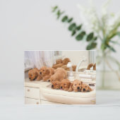 Wat is een Bath? Cute Puppies Discover BathTime Briefkaart (Staand voorkant)