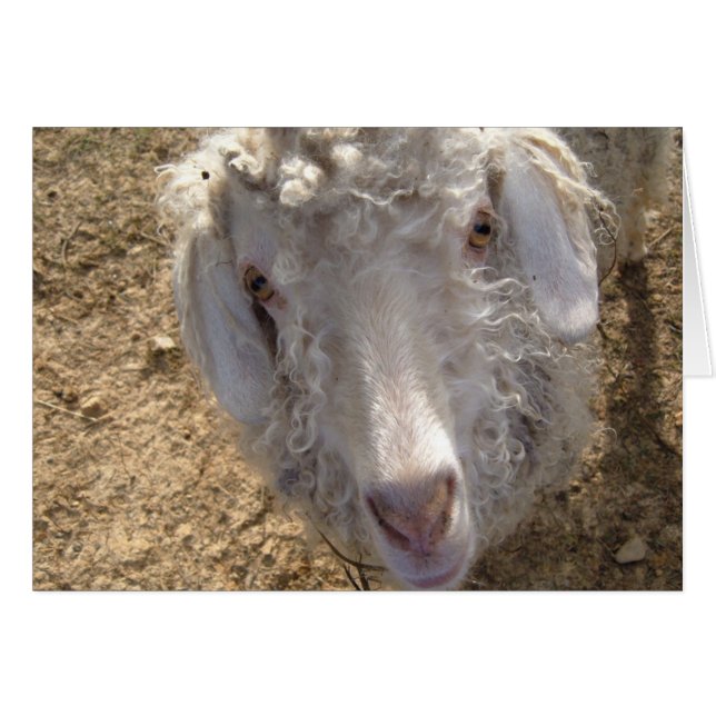 Wat is er? (Voorkant Horizontaal)