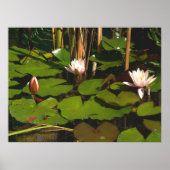 Wat is er beneden? poster (Voorkant)