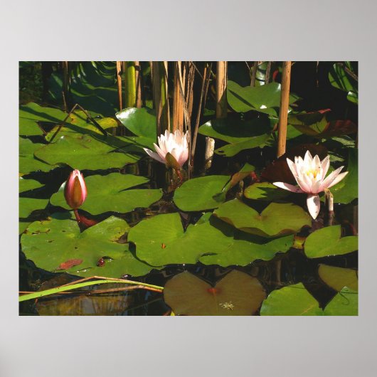 Wat is er beneden? poster (Voorkant)