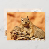 Wat is er? briefkaart (Voorkant / Achterkant)