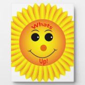 Wat is er? fotoplaat (Voorkant)