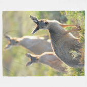 WAT IS ER! KANGOEROES FLEECE DEKEN (Voorkant (Horizontaal))