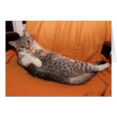 Wat is er? Klaar voor eten? (Voorkant Horizontaal)