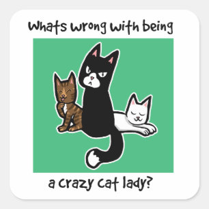 Wat is er mis met een gekke kattendame zijn vierkante sticker