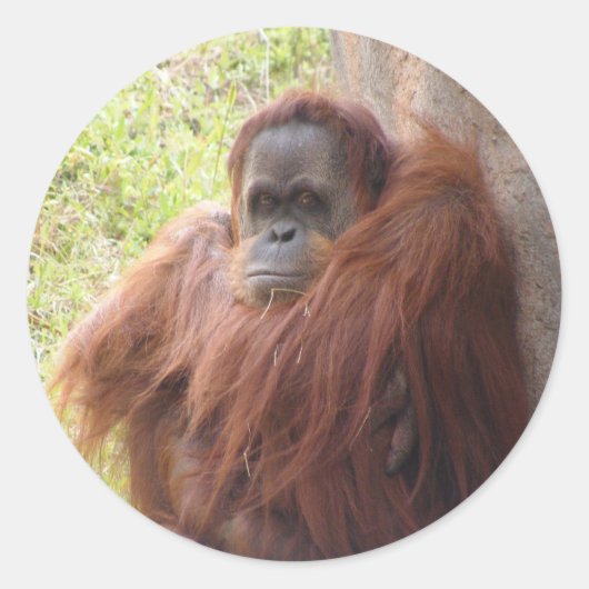 Wat is er om over te lachen? ronde sticker (Voorkant)