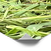 Wat is er? poster (Hoek)