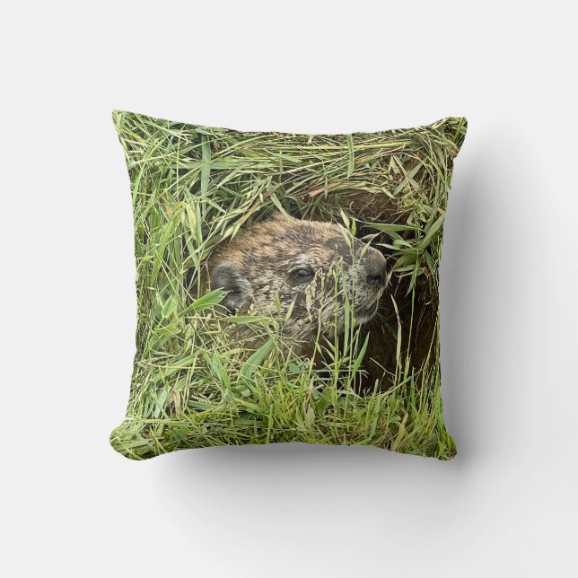 Wat is er? Sierkussens Kussen (Voorkant)