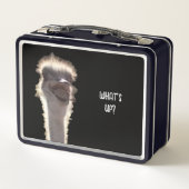 Wat is er? Struisvogelkop, gezicht, lunchboxen (Achterkant)
