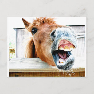 Wat is er zo grappig? briefkaart