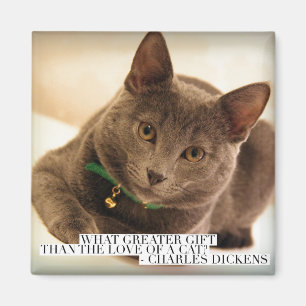 Wat is Grotere Gift dan de liefde van een kat? Magneet