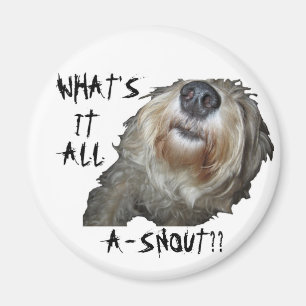 "WAT IS HET ALLEMAAL EEN SNOUT?" Magneet